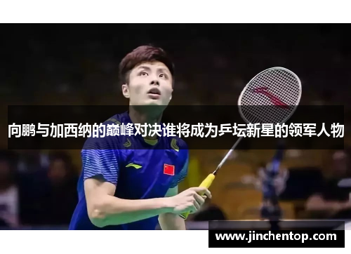 向鹏与加西纳的巅峰对决谁将成为乒坛新星的领军人物